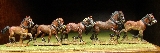 AB Horses 3