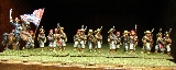 La Tiger Zouaves