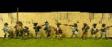 AWI Militia