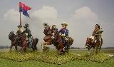 Custer's personal guidon