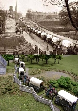 Supply Wagons