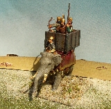 War Elephant