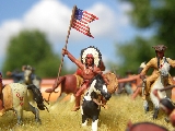 Captured guidon